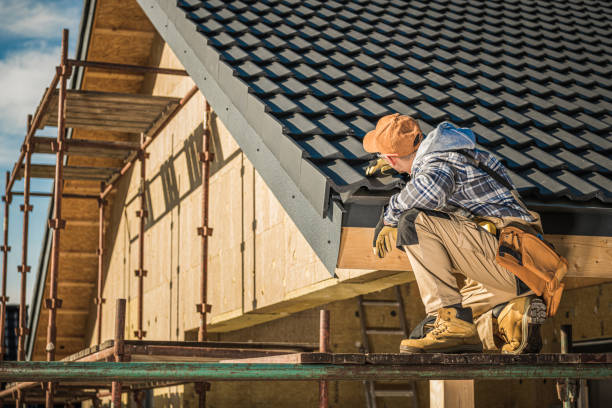 Roof Gutter Cleaning in Dickinson, ND