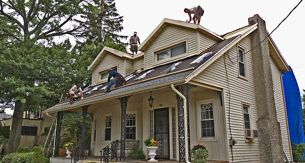 Best Residential Roofing Contractor  in Dickinson, ND