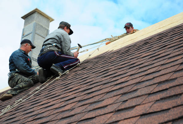 Best Residential Roofing Contractor  in Dickinson, ND