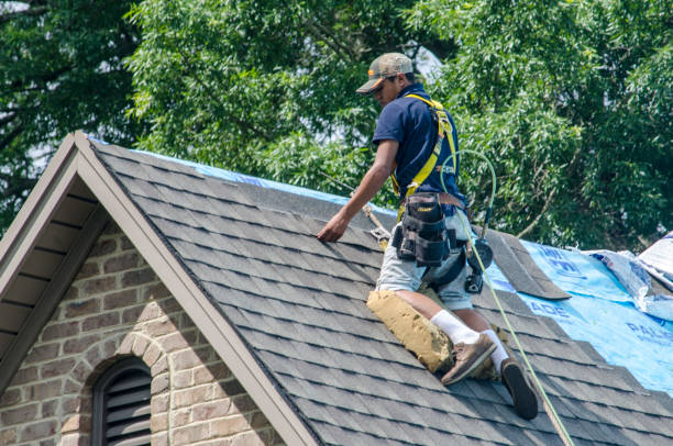 Best New Roof Installation  in Dickinson, ND